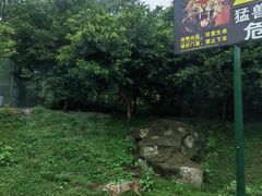 -乐和乐都主题乐园