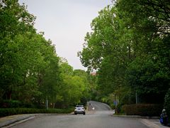 -上海崇明金茂凯悦酒店