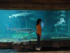 -华夏文旅西安度假区