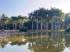 -中国科学院西双版纳热带植物园