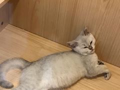-太二酸菜鱼(深圳布吉万象汇店)