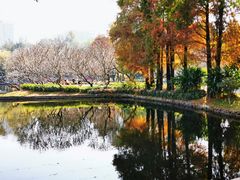 -晓港公园