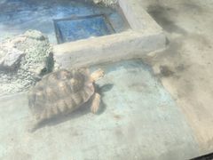 -泉州海丝野生动物世界