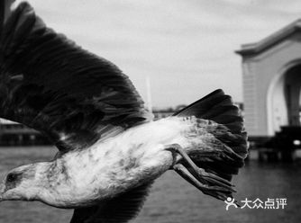 越战让美国深陷泥潭，像阿甘的发小詹妮一样，许多迷茫的