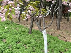 -山东大学(威海校区)