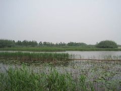 -泗洪洪泽湖湿地景区