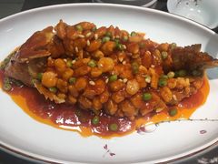 松鼠桂鱼-金陵夜猫子私房菜(茂业天地店)
