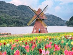 -广州市石门国家森林公园