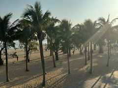 -大梅沙海滨公园