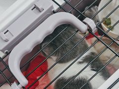 -pd派德宠物中心医院24H急重症·眼科中心·血液透析中心(嵩山北路店)