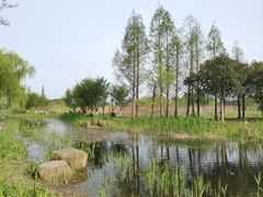 -长田漾湿地公园