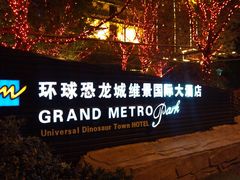 -常州环球恐龙城维景国际大酒店