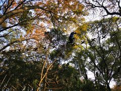 -WeLope紫金山探险公园