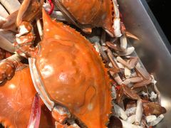 -蓝珊甄选海鲜自助·火锅大排档(近阿那亚店)
