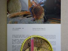 金山区枫泾镇新华村采访实录-徐汇艺术馆