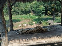 -西安秦岭野生动物园
