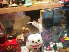 -解忧集市(北京路天河城店)
