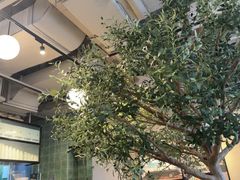 -Wagas沃歌斯(环贸店)