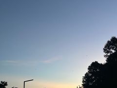 -南京老山国家森林公园