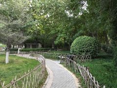 -丰台科技园生态主题公园