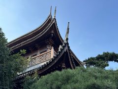 -龙华素斋(龙华路店)