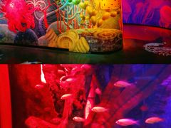 -沈阳海洋探索中心