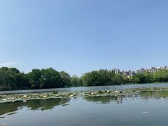 -新江湾城公园