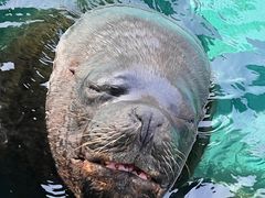 -珠海长隆海洋王国