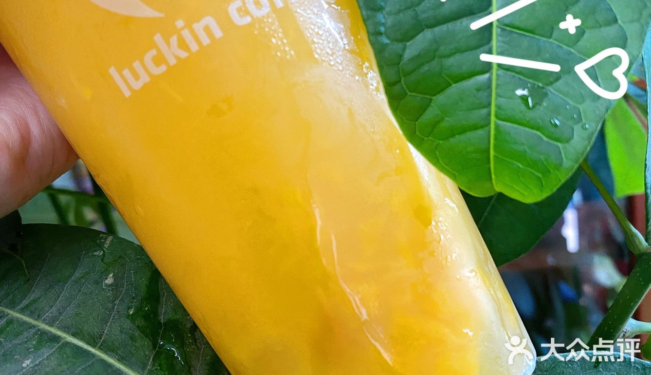 夏天的味道[调皮]来杯芒果本芒杨枝甘露吧[鬼脸]