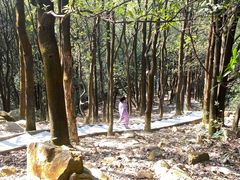 -火炉山森林公园