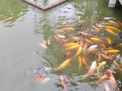 -檀园