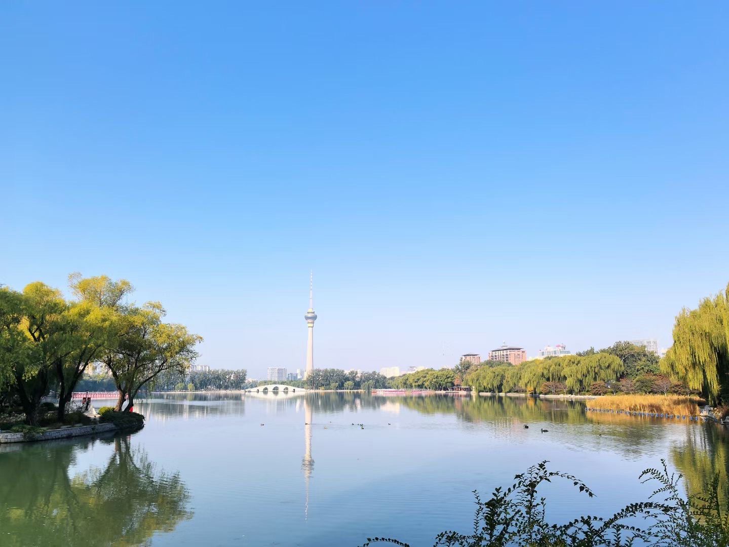 玉潭湖公园