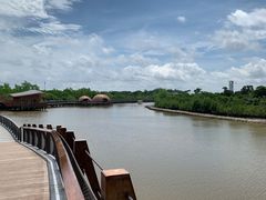 -东寨港红树林旅游区