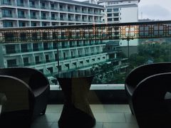 -河源万绿湖美思威尔顿酒店
