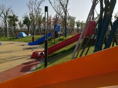 景点-春花秋色城市公园