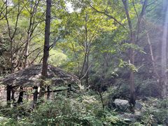 -九龙潭景区