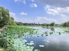 -长春市南湖公园