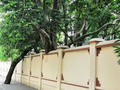 -复旦大学正大集团体育馆