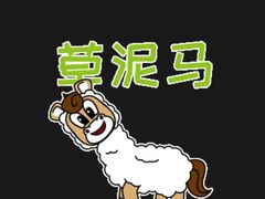 -超鹿运动(五四路恒力城店)