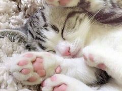 -百信宠物医院(东升街店)