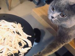 -平行世界·猫咖(首经贸店)