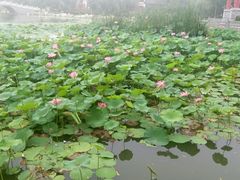 -瑞尔福超市(明珠广场店)