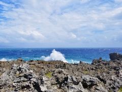 -龙坑生态保护区