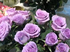 -花草间花行(法华镇路店)