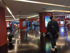 -上海金逸影城(静安大悦城店（原新恒星影城）)