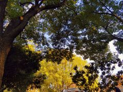 -宁波儿童公园(鄞州区)