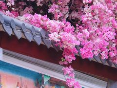 -深圳国际园林花卉博览园