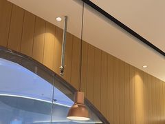 -老板恋上鱼(印象城店)