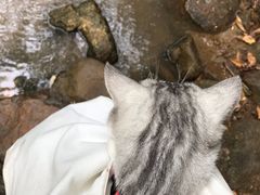 -火炉山森林公园