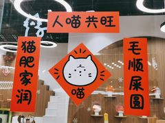 -COLOR PETS 撸猫馆·购猫·猫咖(长风大悦城店)